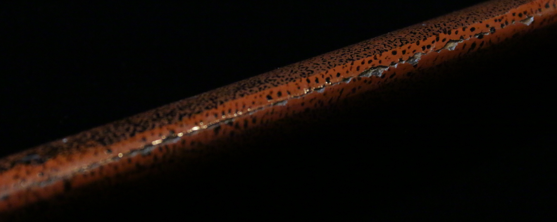 01-0029